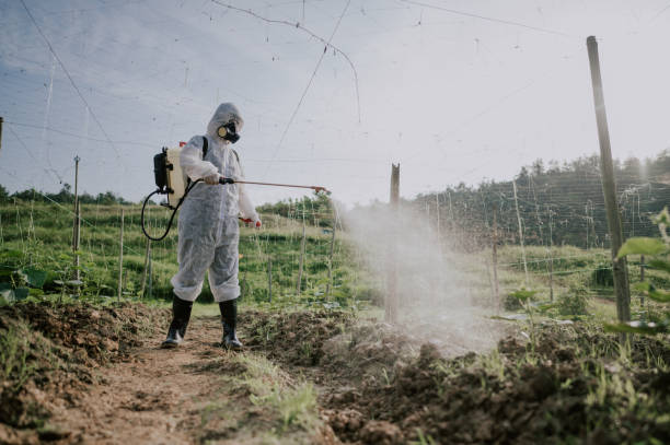 Best Pest Prevention Services  in Despard, WV