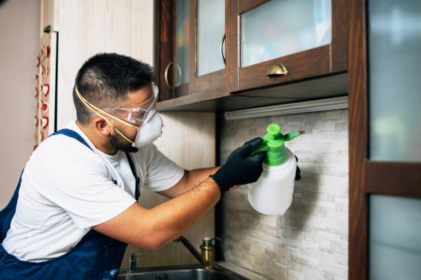 Despard, WV Pest Control Company