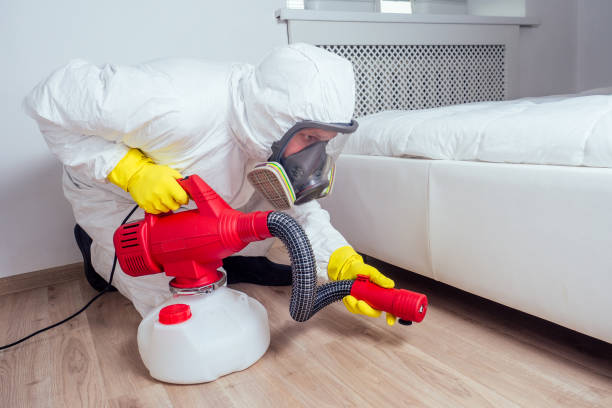 Best Pest Removal Services  in Despard, WV