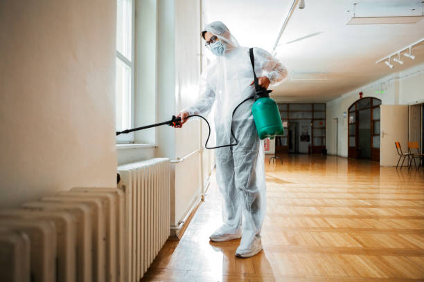 Best Bed Bug Extermination  in Despard, WV